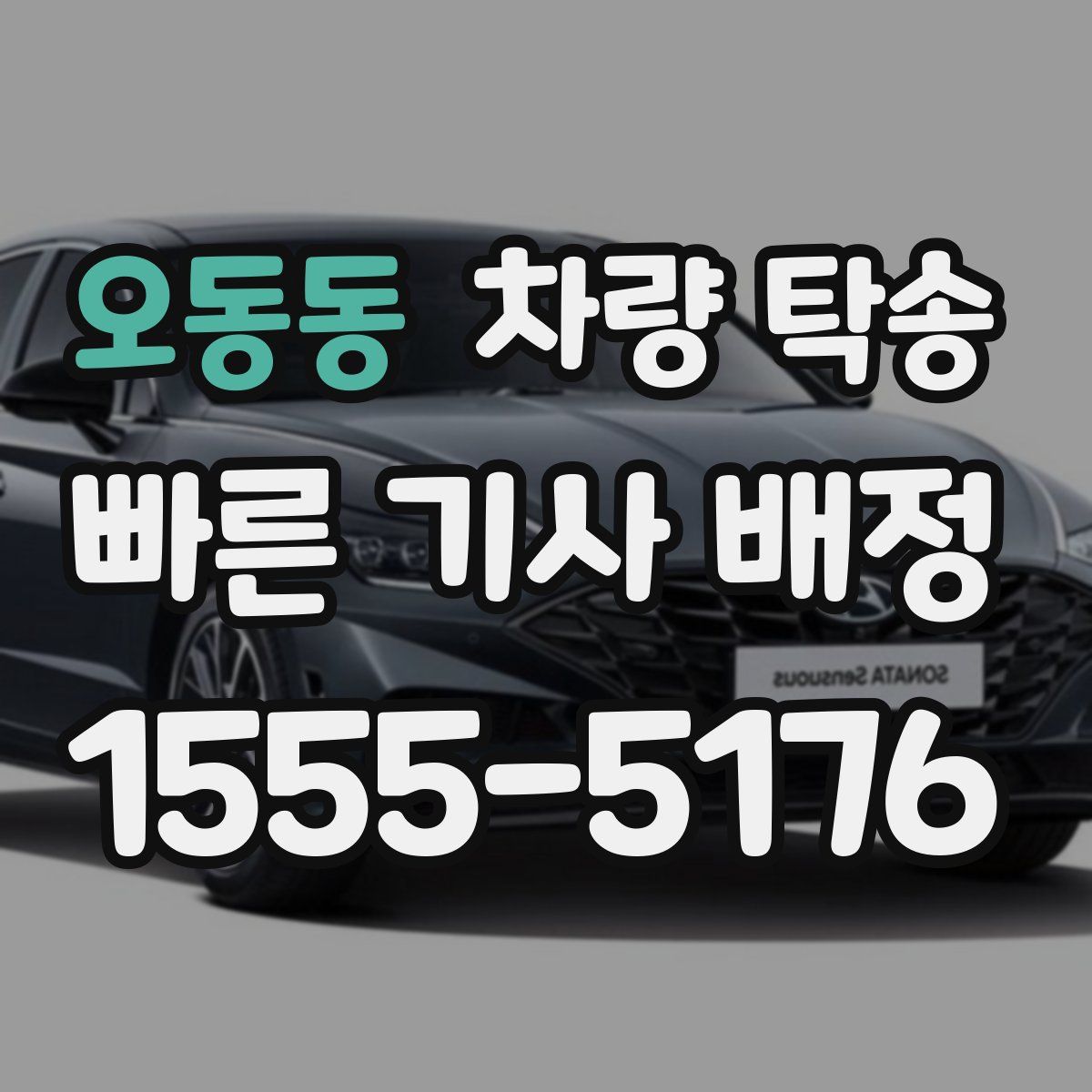 오동동 차량 탁송