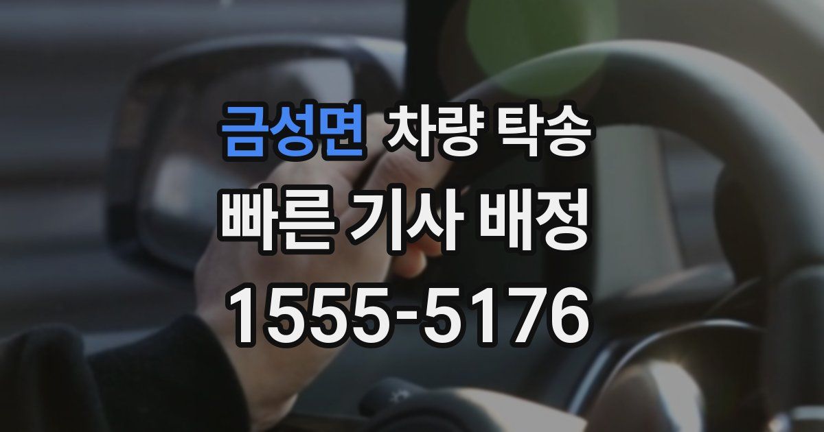 금성면 차량 탁송