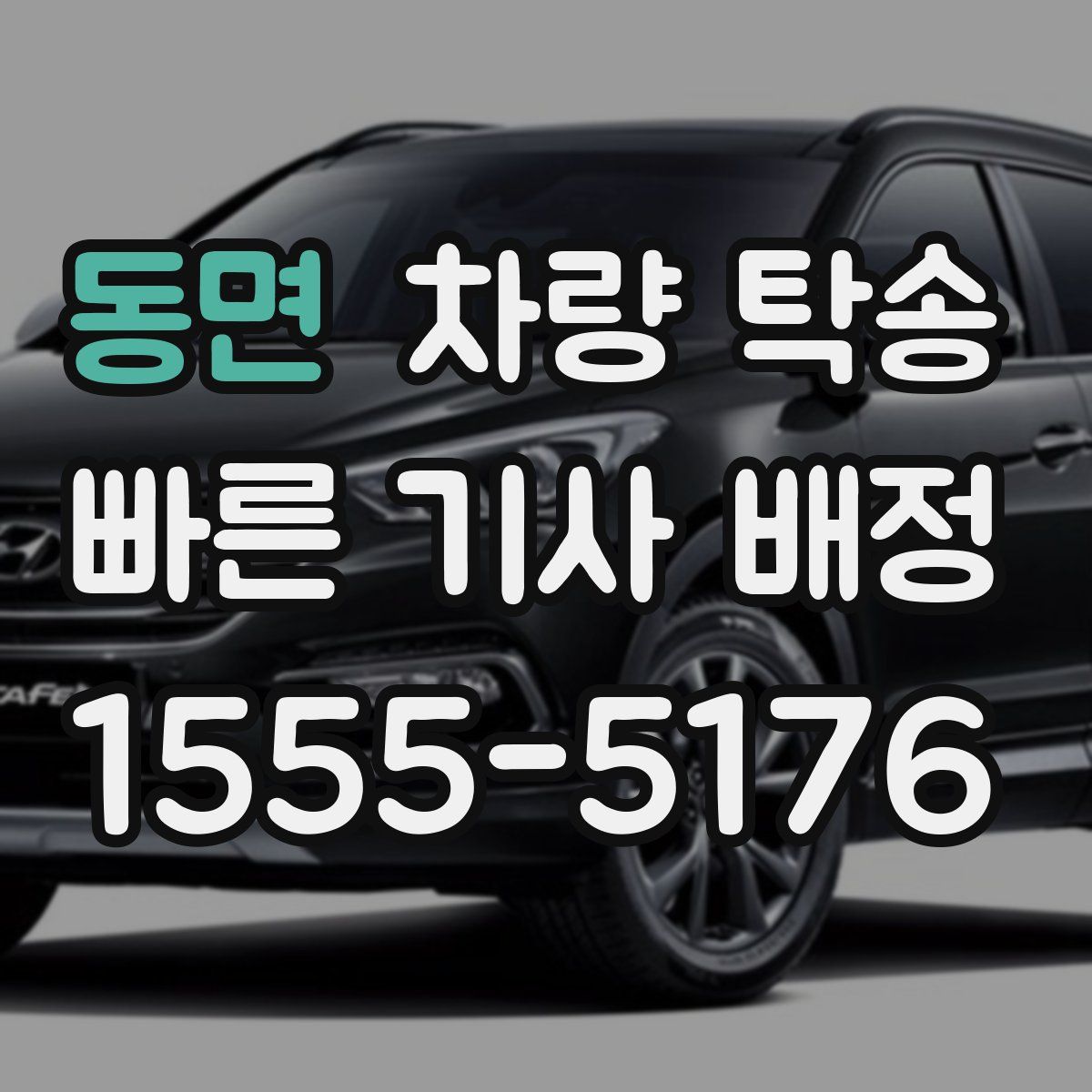 동면 차량 탁송