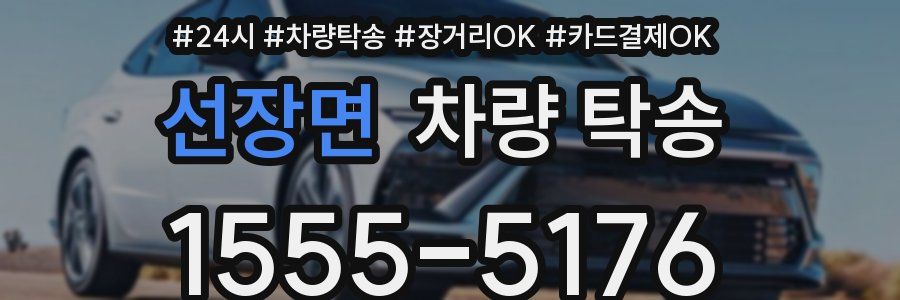 선장면 차량 탁송