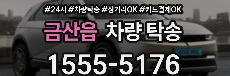 금산읍 차량 탁송