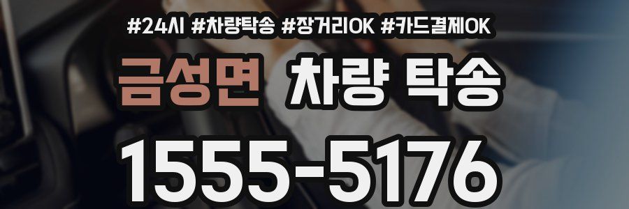 금성면 차량 탁송