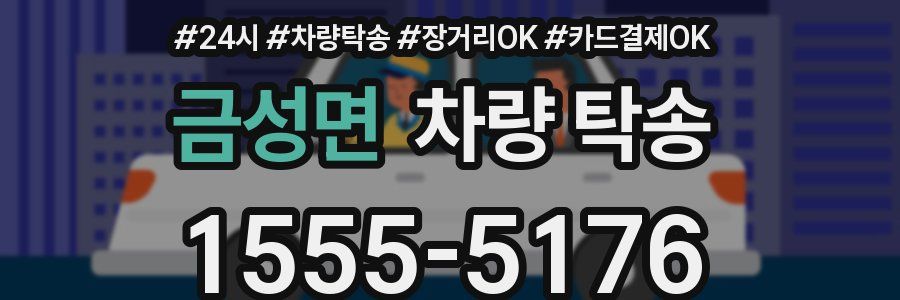 금성면 차량 탁송