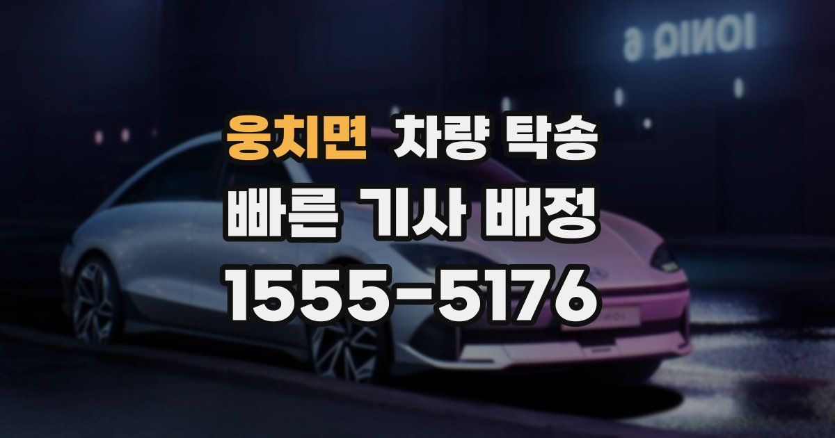 웅치면 차량 탁송