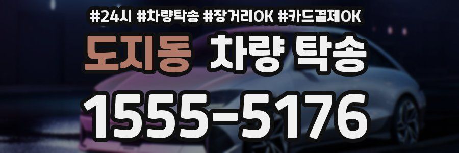 도지동 차량 탁송