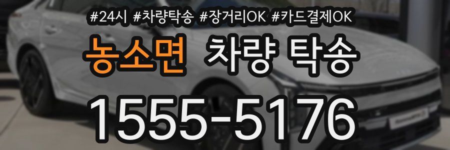 농소면 차량 탁송