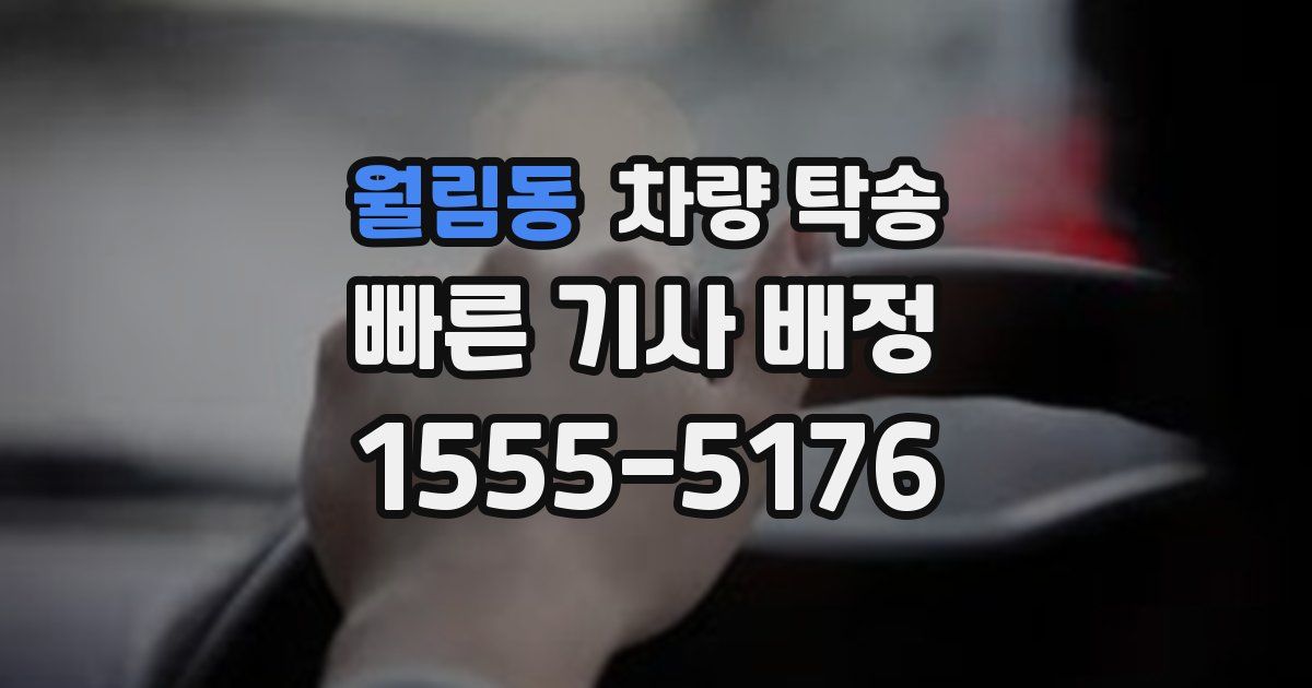 월림동 차량 탁송