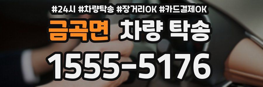 금곡면 차량 탁송