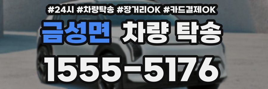 금성면 차량 탁송