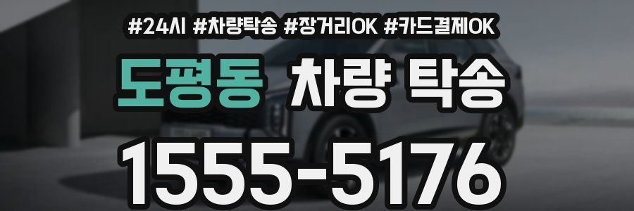 도평동 차량 탁송