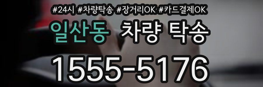 일산동 차량 탁송