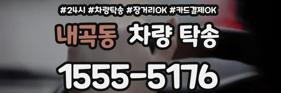 내곡동 차량 탁송