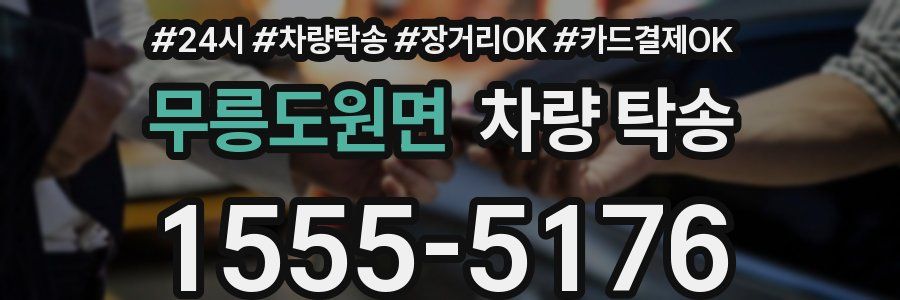 무릉도원면 차량 탁송