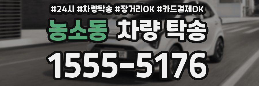 농소동 차량 탁송