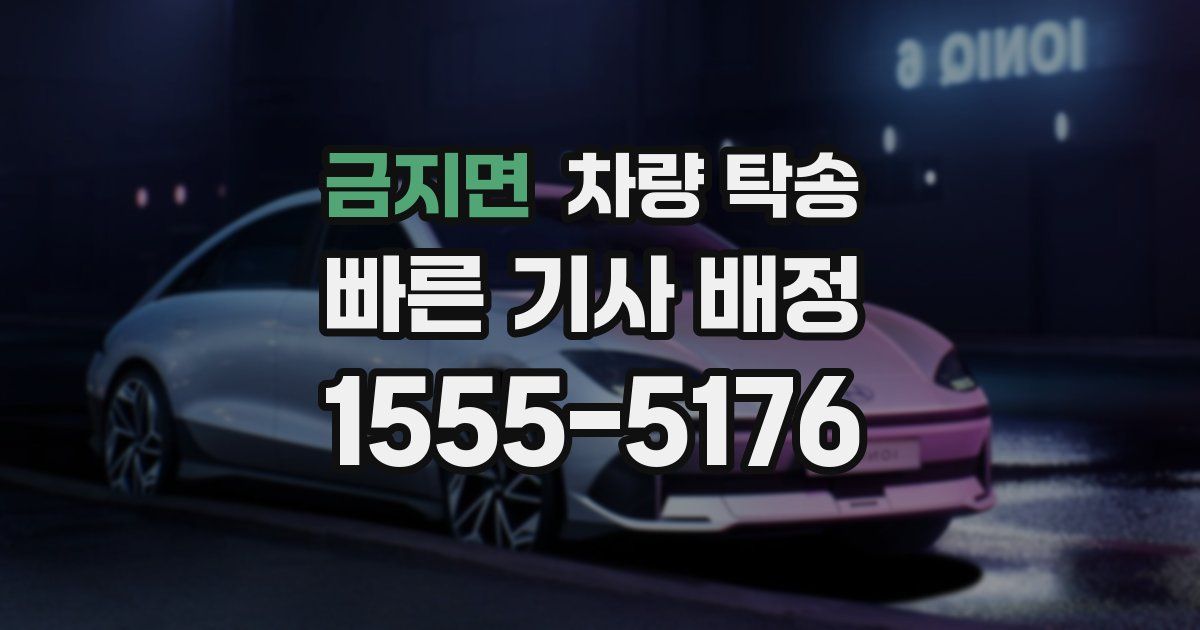 금지면 차량 탁송