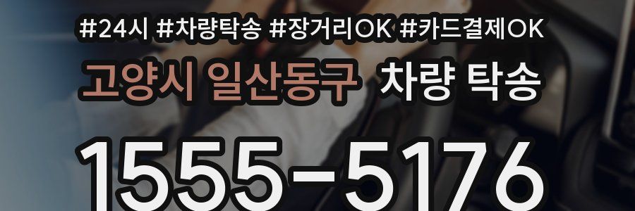 고양시 일산동구 차량 탁송