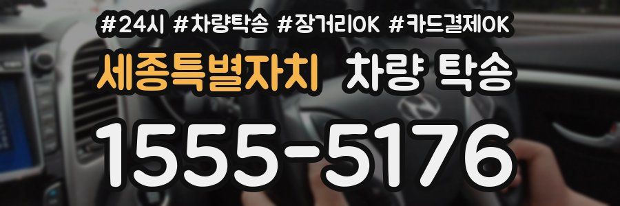 세종특별자치 차량 탁송