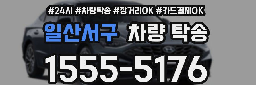 일산서구 차량 탁송