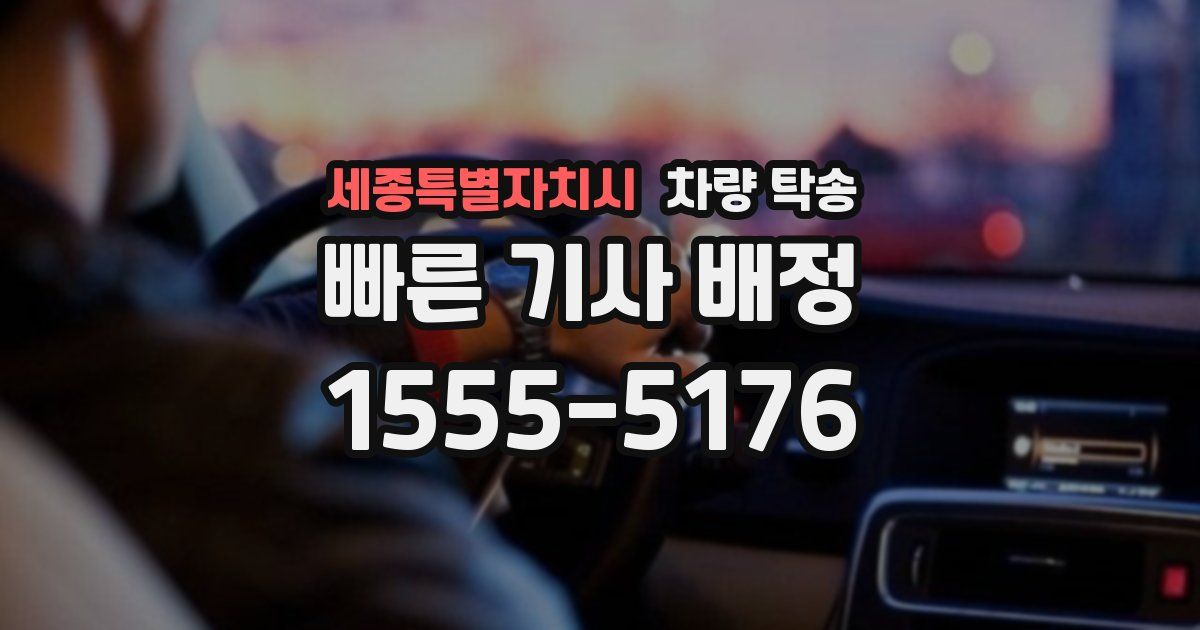 세종특별자치시 차량 탁송