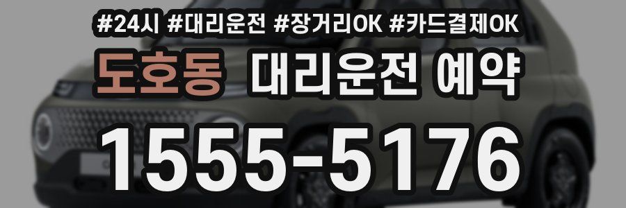 도호동 대리운전 예약