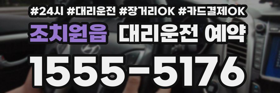 조치원읍 대리운전 예약