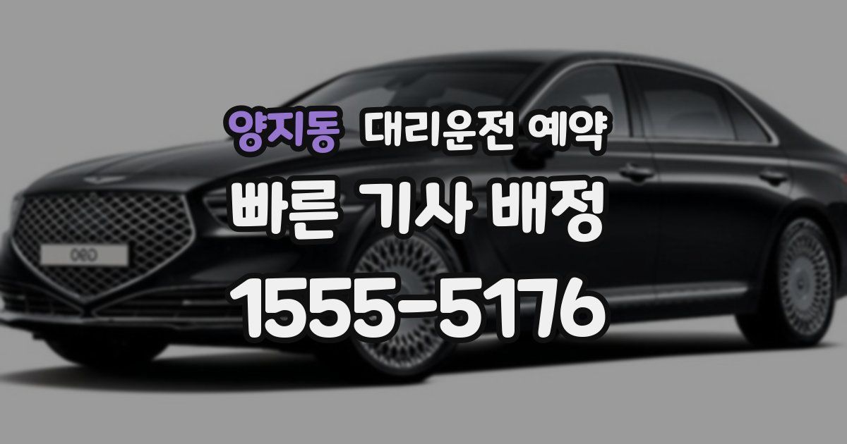 양지동 대리운전 예약