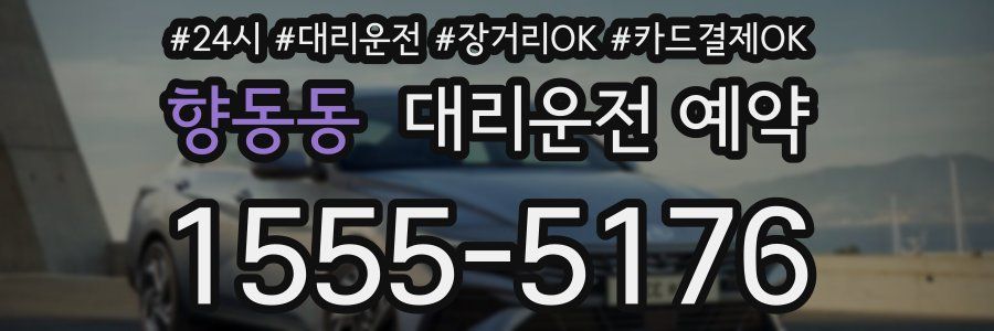 향동동 대리운전 예약