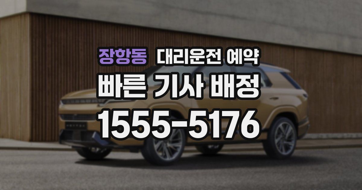 장항동 대리운전 예약