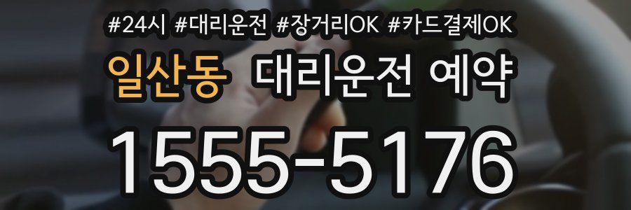 일산동 대리운전 예약