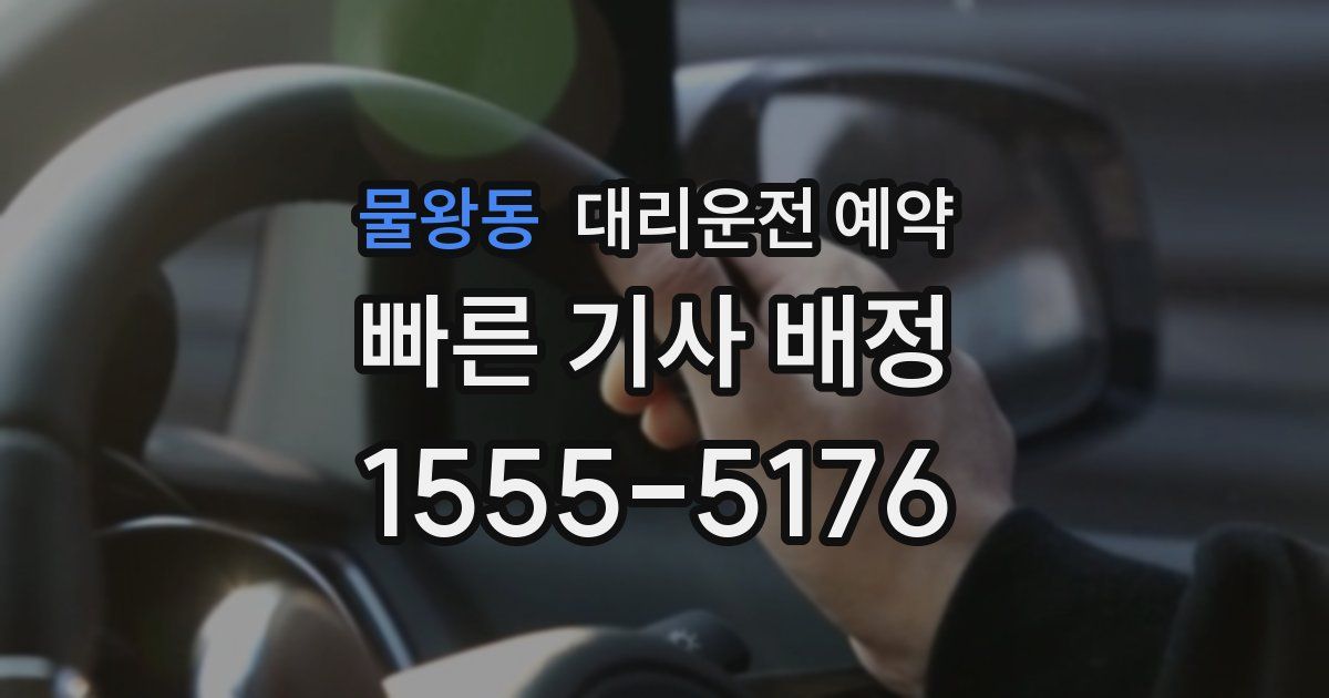물왕동 대리운전 예약