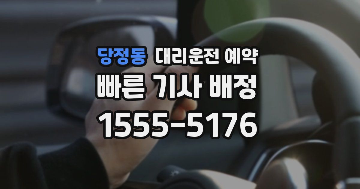 당정동 대리운전 예약