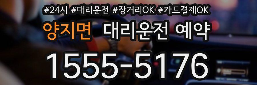 양지면 대리운전 예약