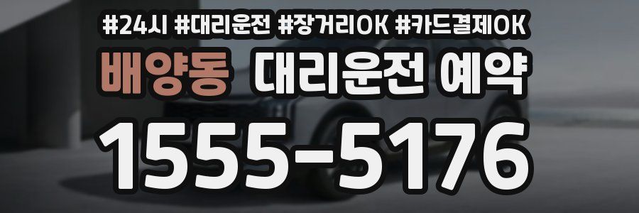 배양동 대리운전 예약