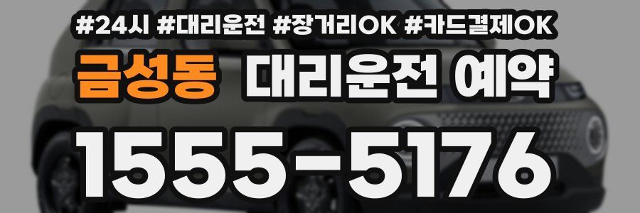 금성동 대리운전 예약