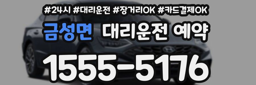 금성면 대리운전 예약