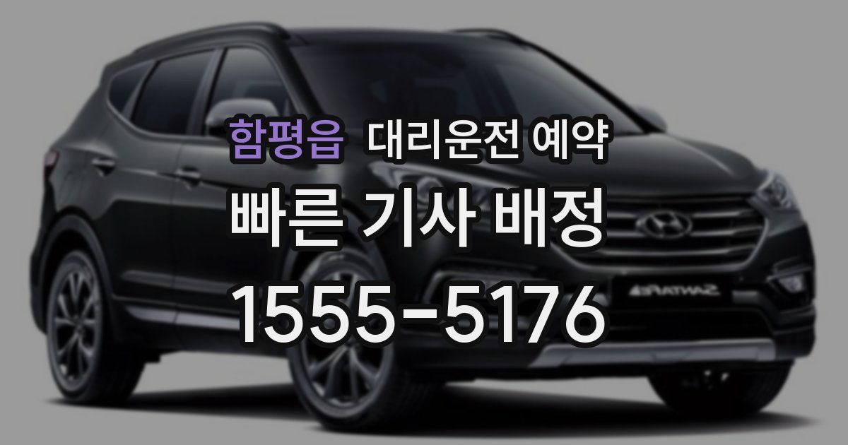 함평읍 대리운전 예약