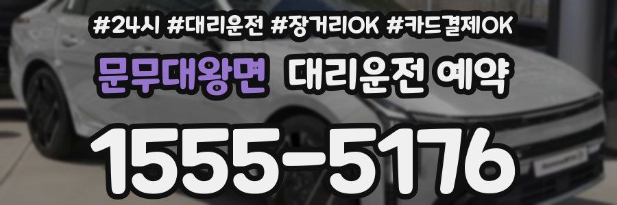 문무대왕면 대리운전 예약