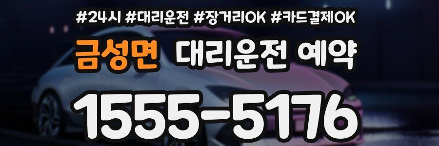 금성면 대리운전 예약