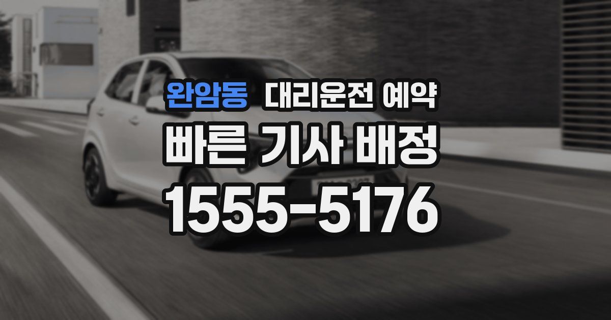 완암동 대리운전 예약