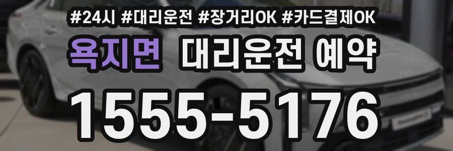 욕지면 대리운전 예약