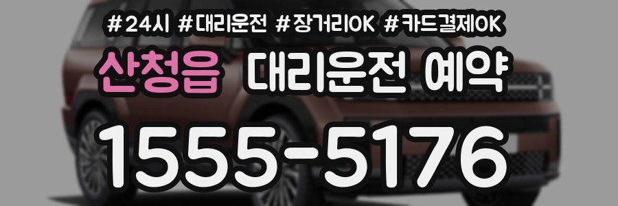 산청읍 대리운전 예약