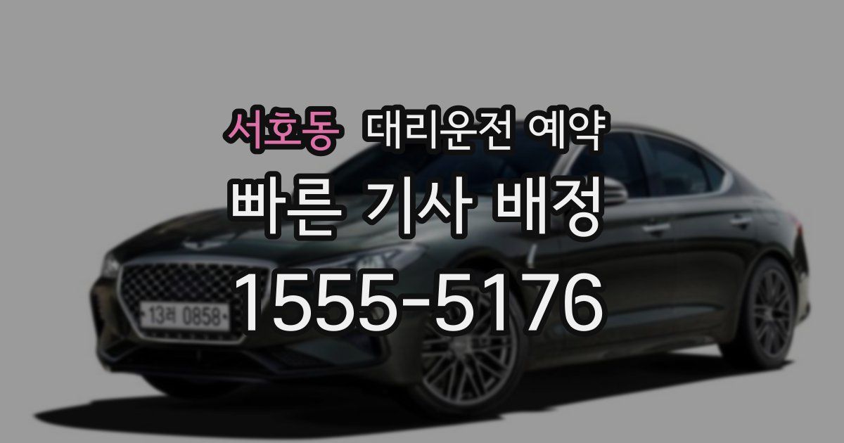 서호동 대리운전 예약