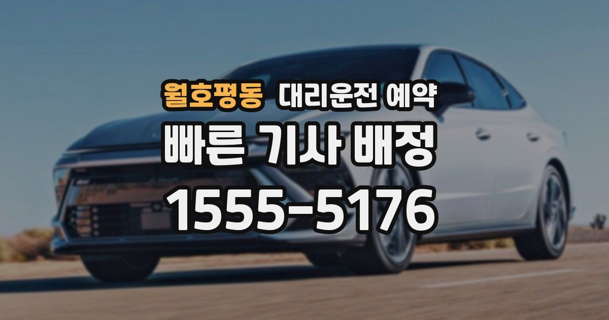 월호평동 대리운전 예약