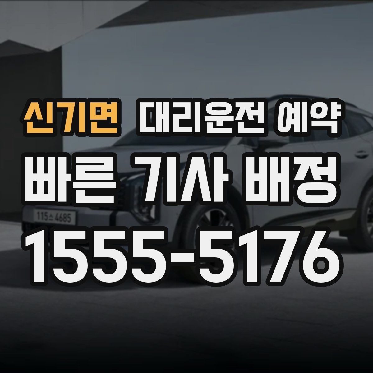 신기면 대리운전 예약 반려동물 동승 시 예약 단계에서 체크할 점