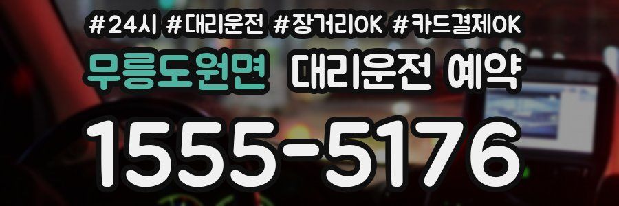 무릉도원면 대리운전 예약