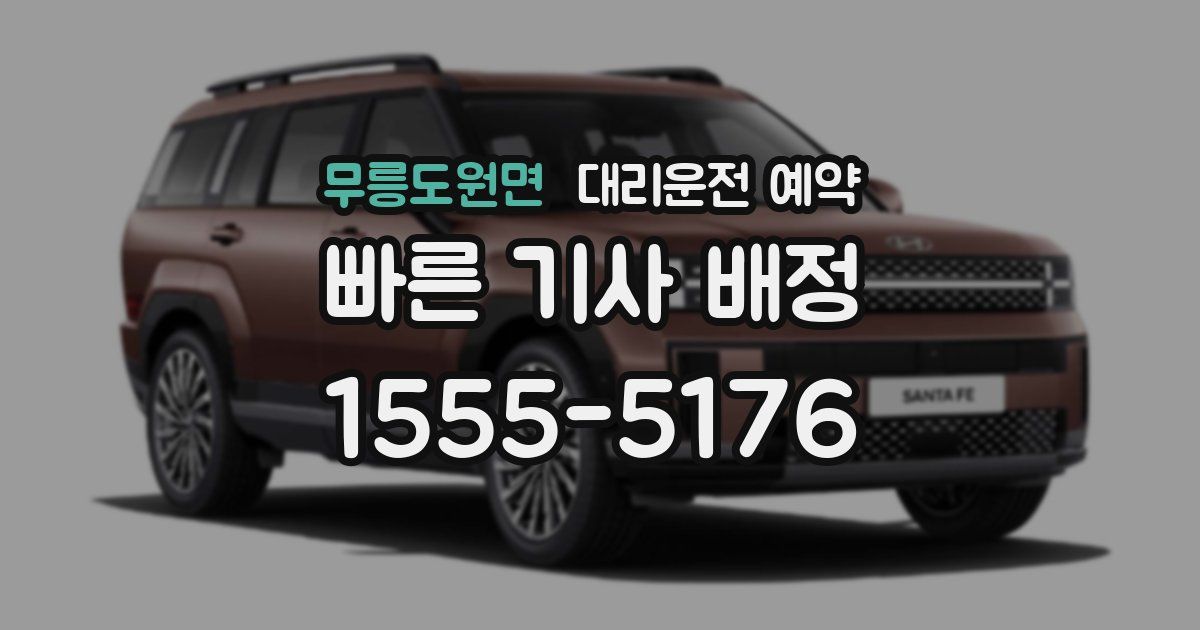 무릉도원면 대리운전 예약