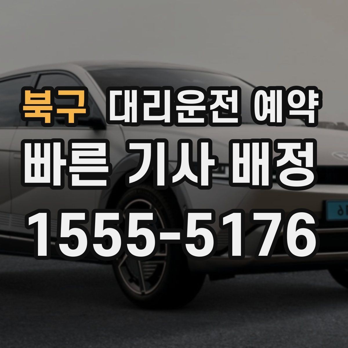 북구 대리운전 예약 반려동물 동승 시 예약 단계에서 체크할 점