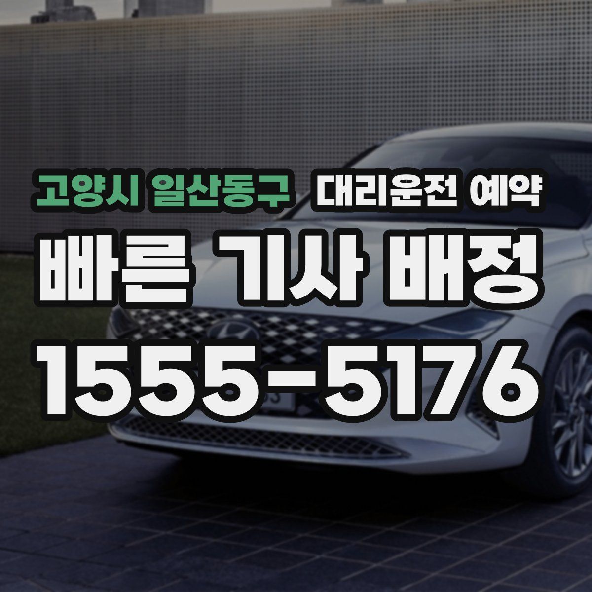 고양시 일산동구 대리운전 예약