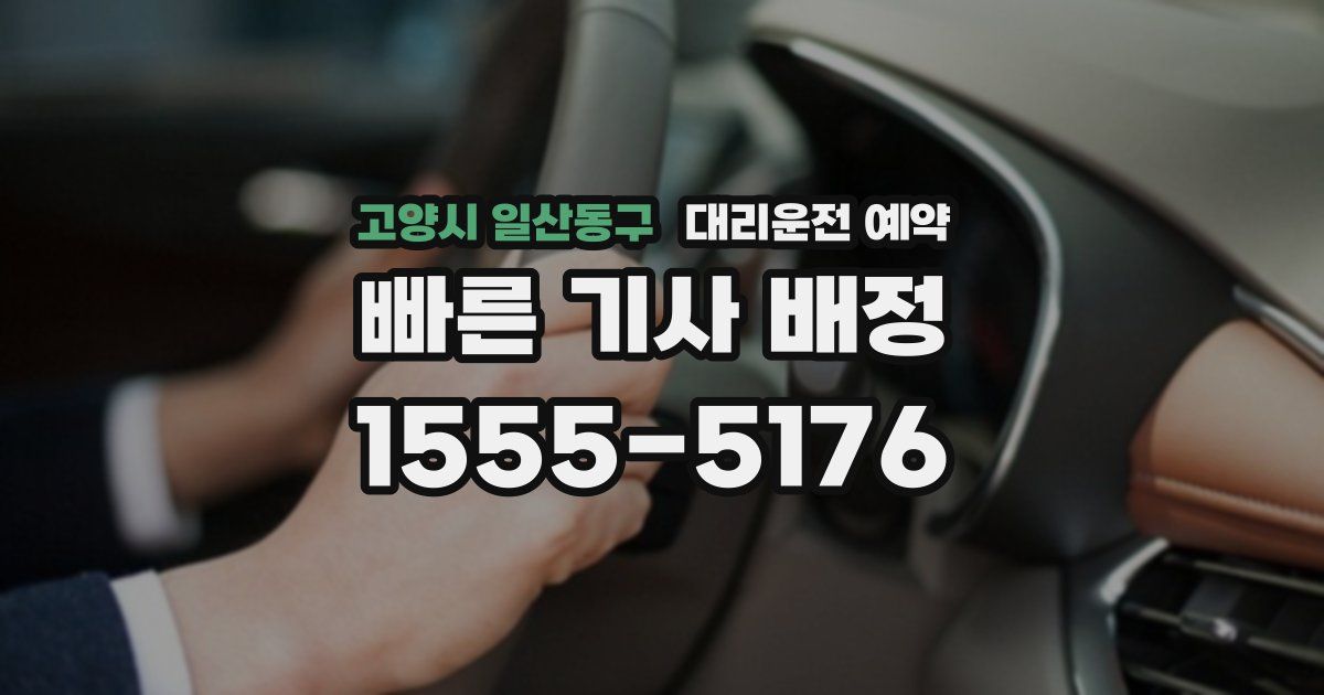 고양시 일산동구 대리운전 예약