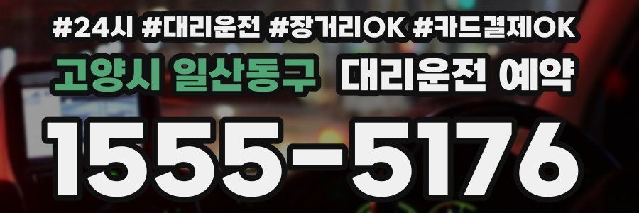 고양시 일산동구 대리운전 예약